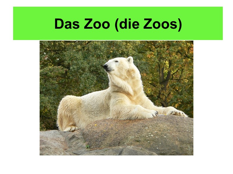 Das Zoo (die Zoos)